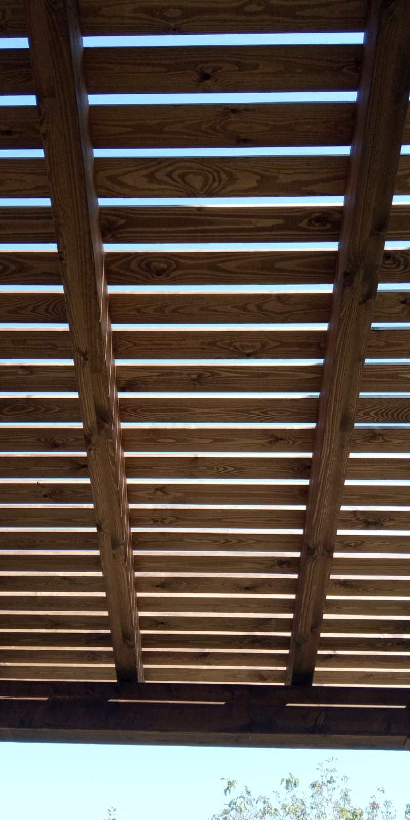 בניית פרגולות