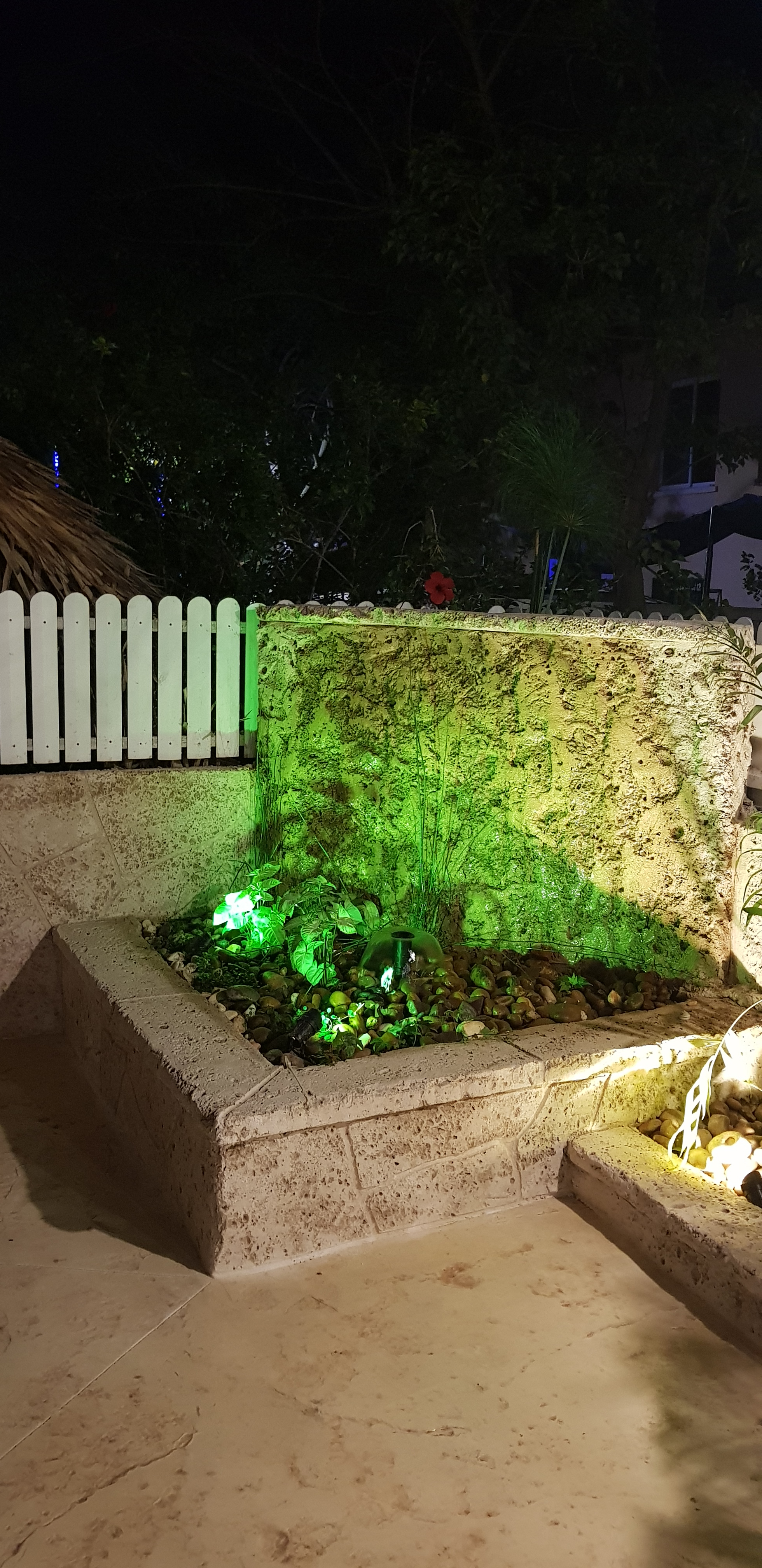 עבודות פיתוח גינה