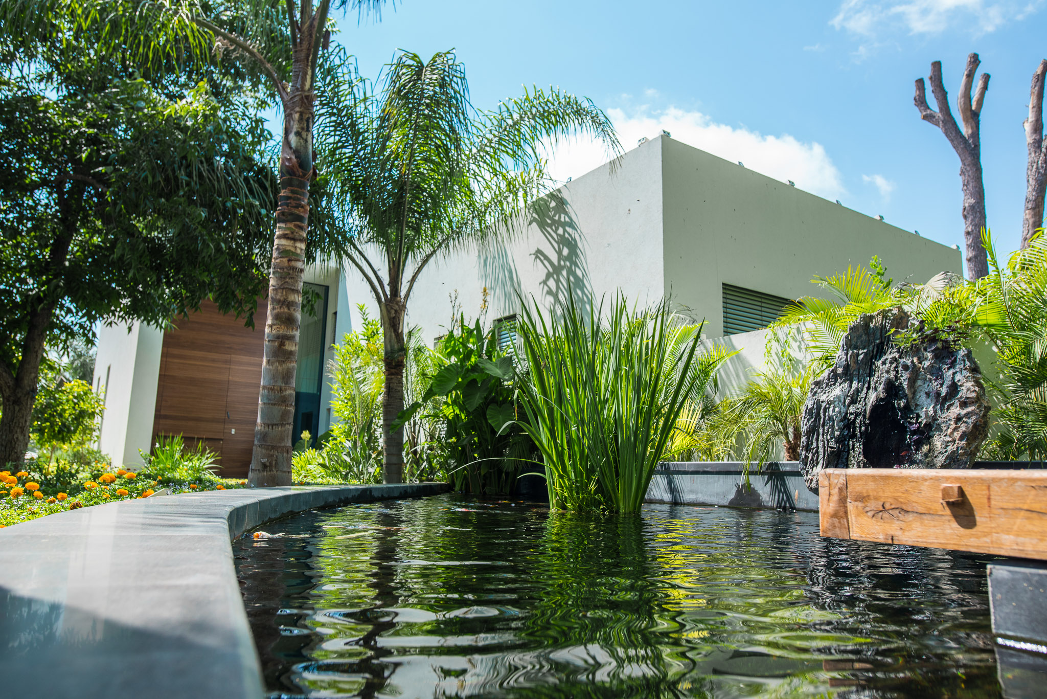 בית פרטי בנחלה בשרון + בית אורחים + בריכה.