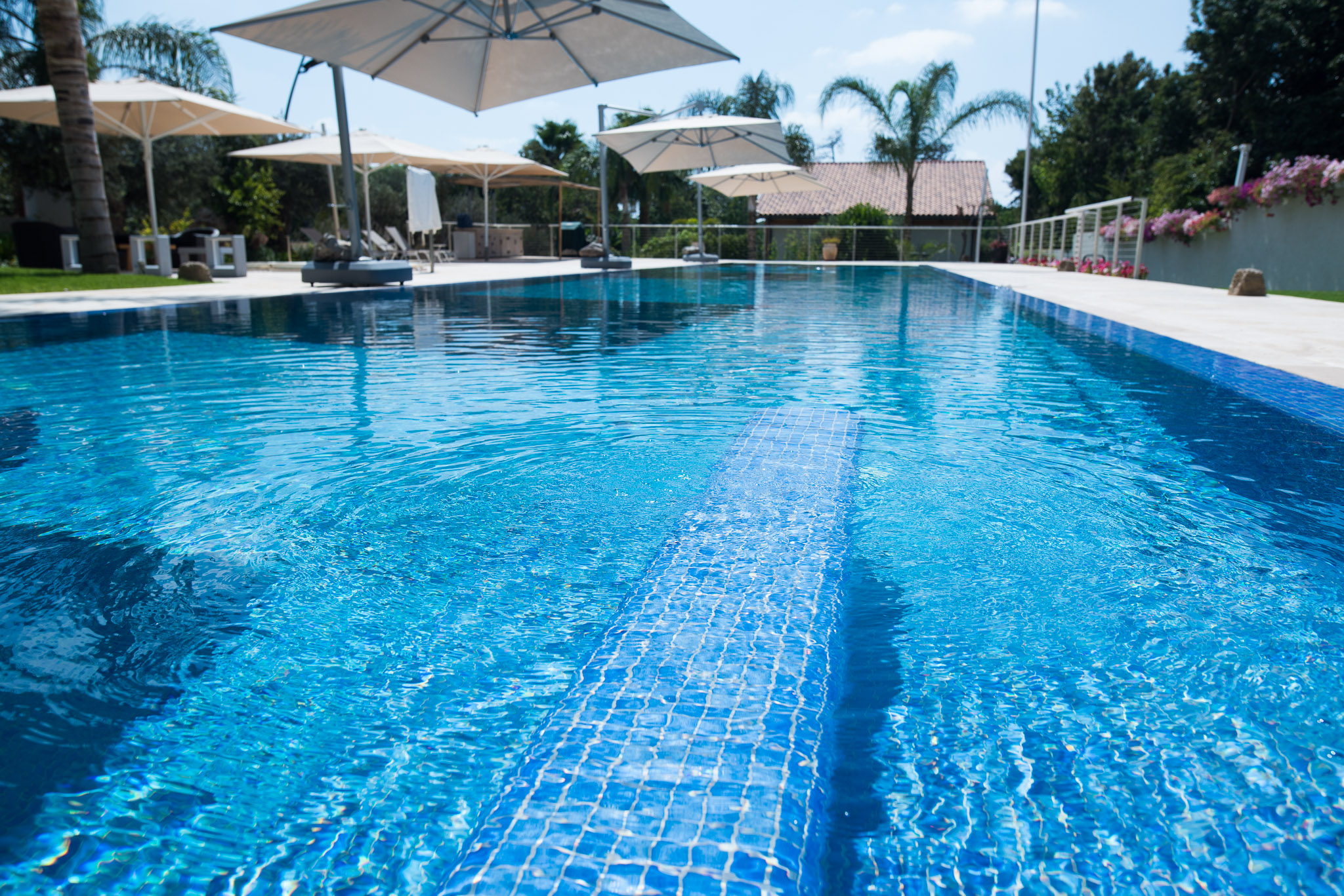 בית פרטי בנחלה בשרון + בית אורחים + בריכה.