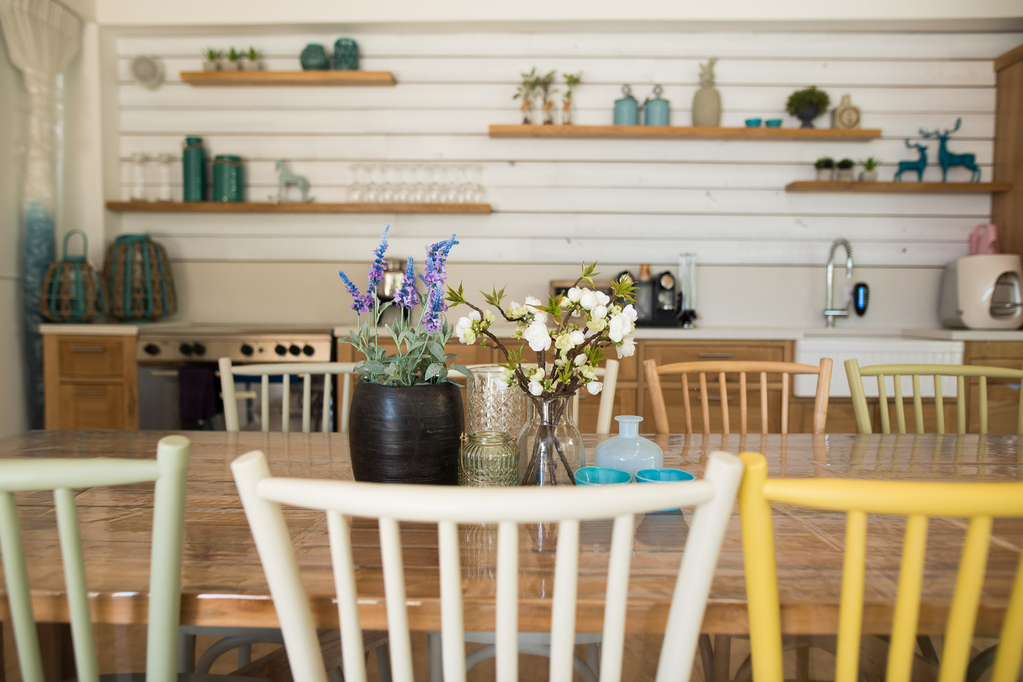 בית פרטי בנחלה בשרון + בית אורחים + בריכה.