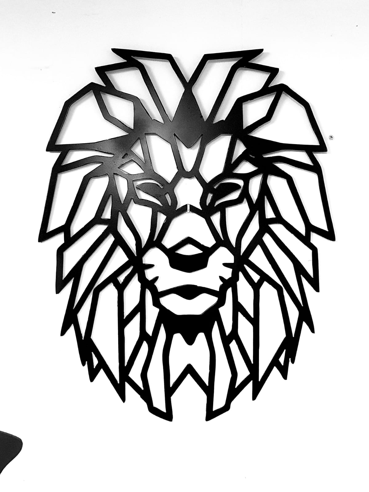 עיצובים לבית ולגינה ממתכת