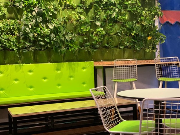 עיצוב חנות לשייקים ופירות