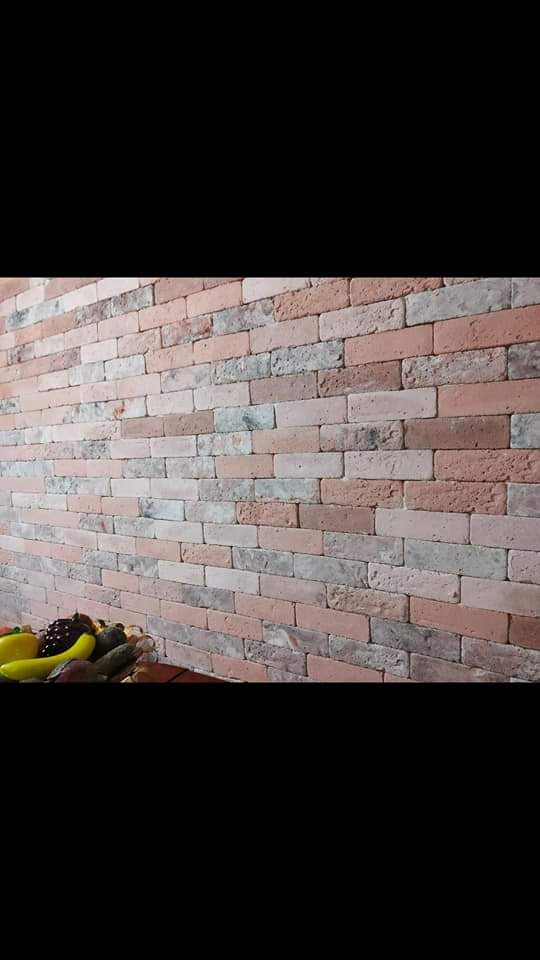 חיפוי בריקים