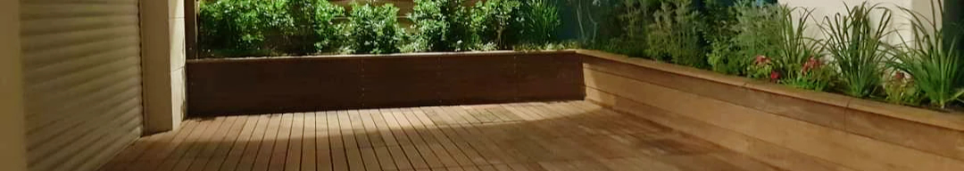 צילום מעבודה של שרון דהן