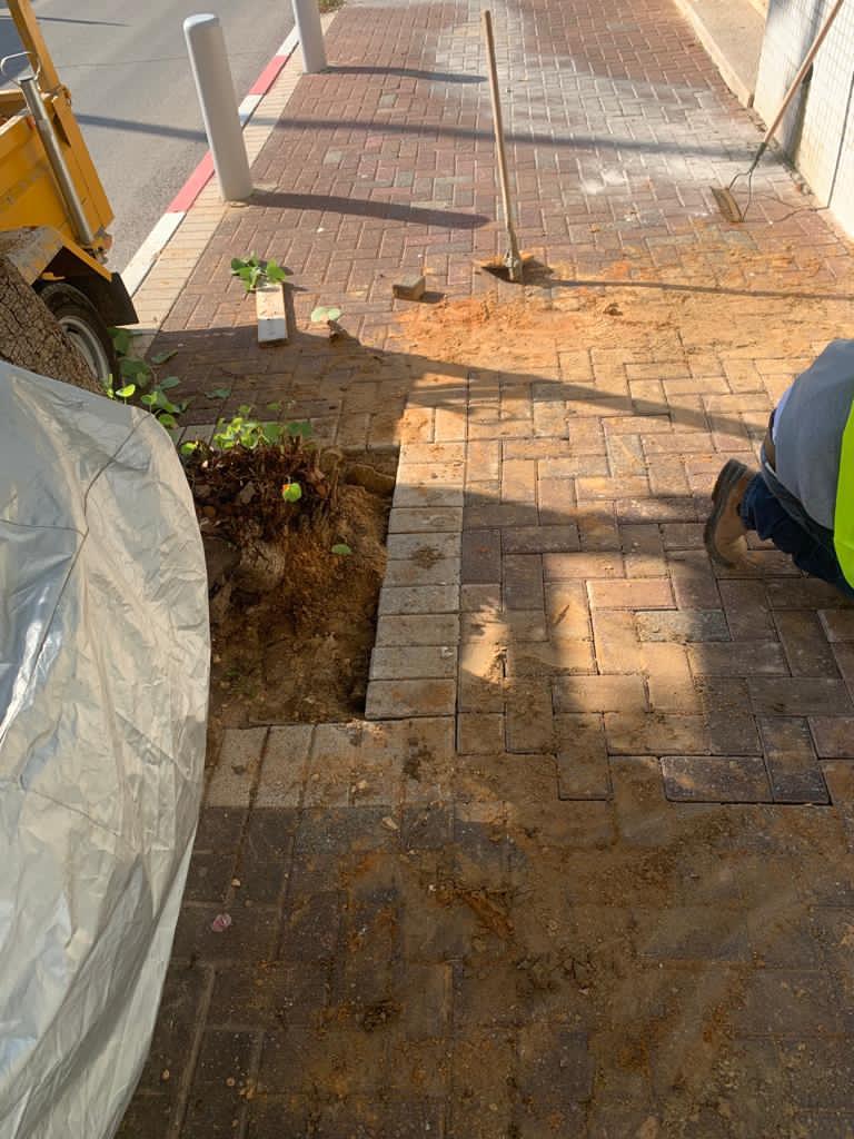 אבנים משתלבות