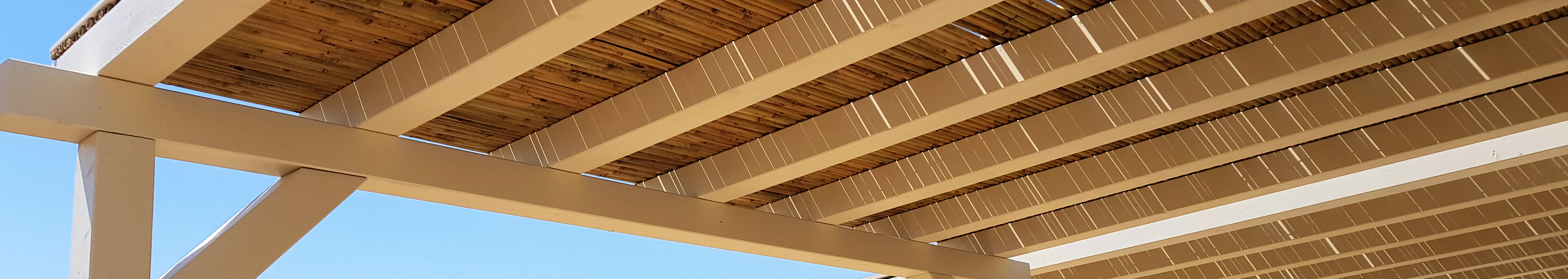 צילום מעבודה של אליה צפניה