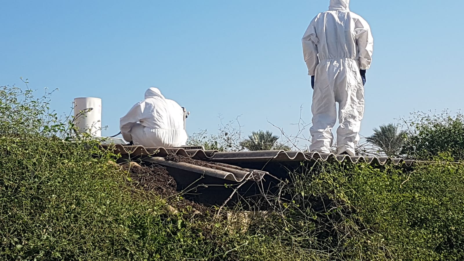 פינוי אסבסט