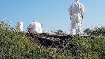 פינוי אסבסט