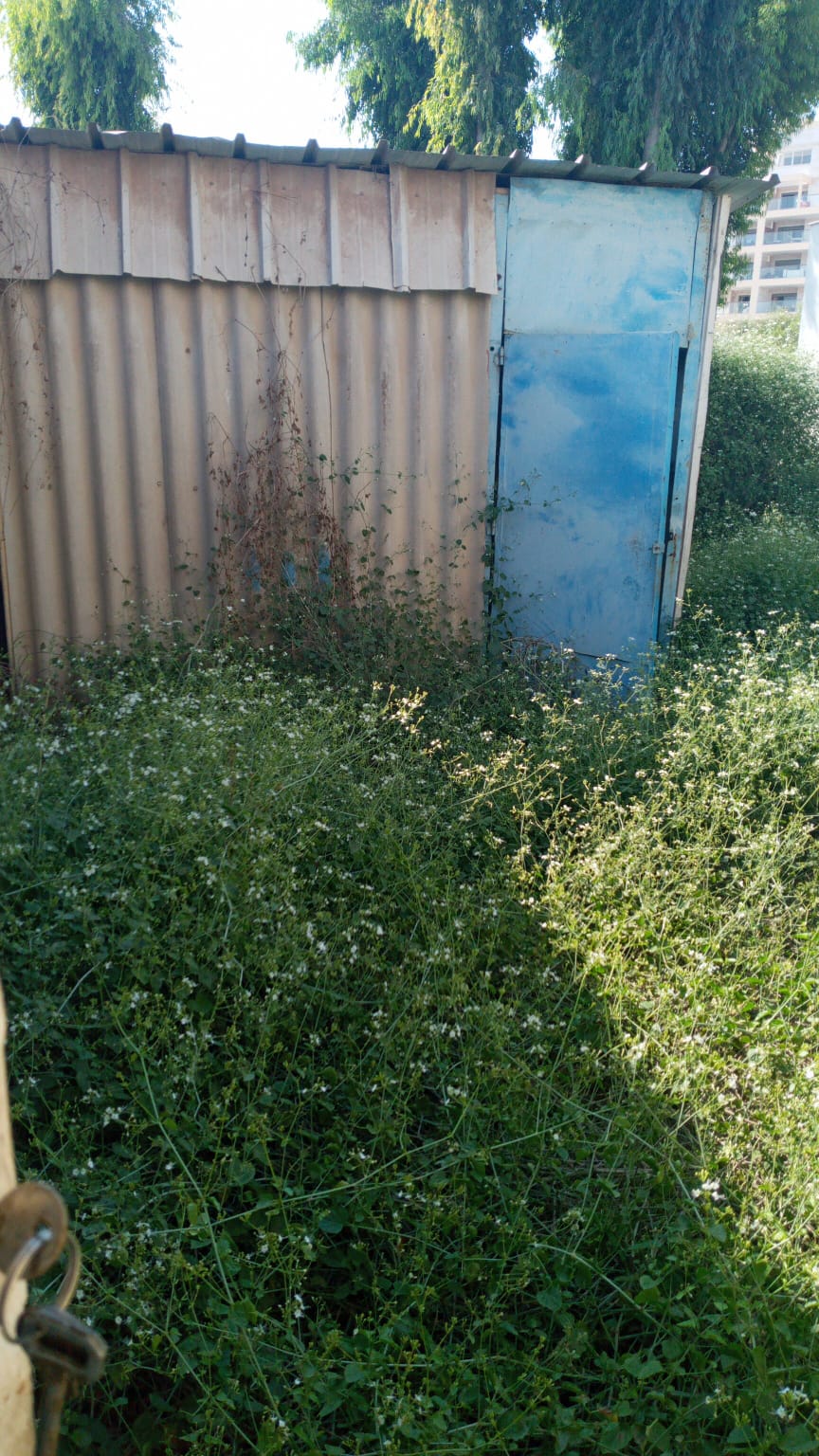 פינוי אסבסט