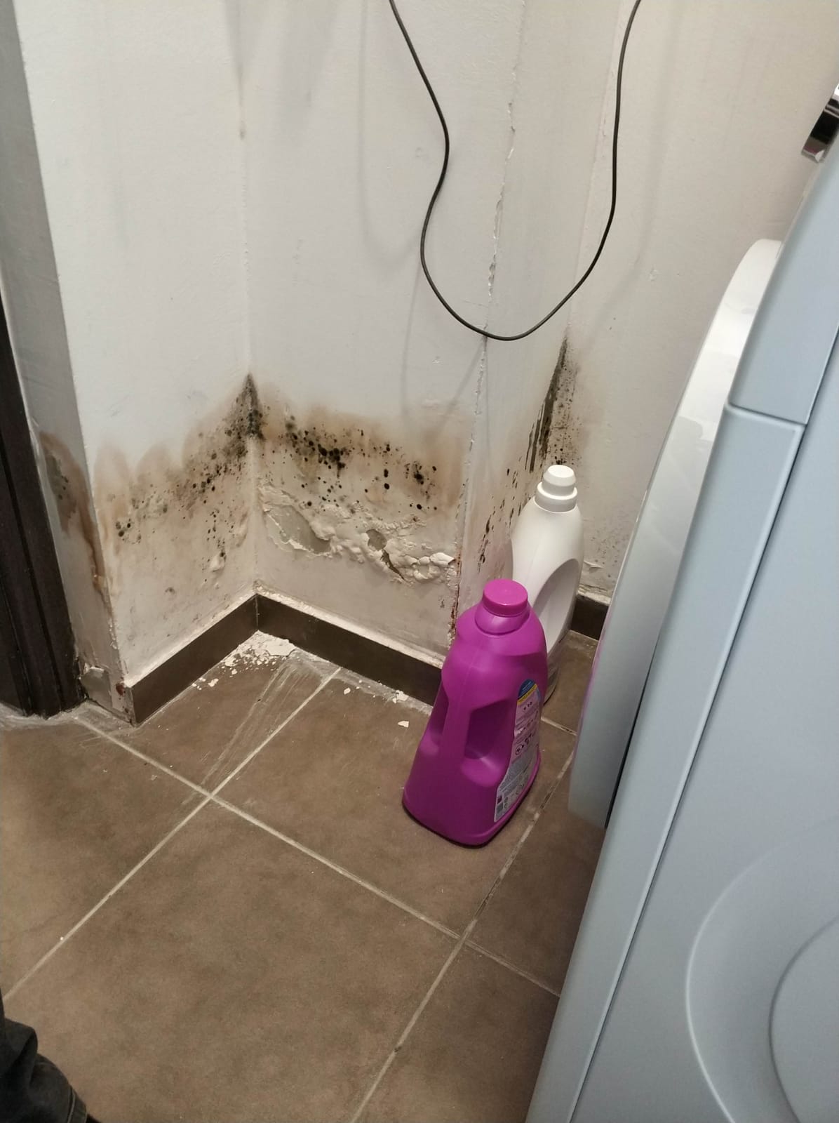 טיפול ברטיבות