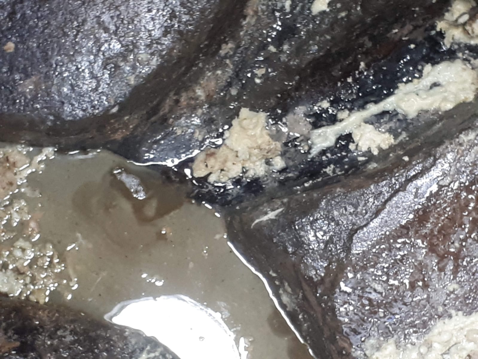 איטום חדרים רטובים