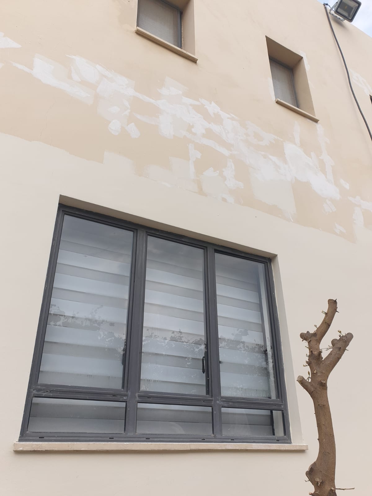 צבע וטייח חיצוני