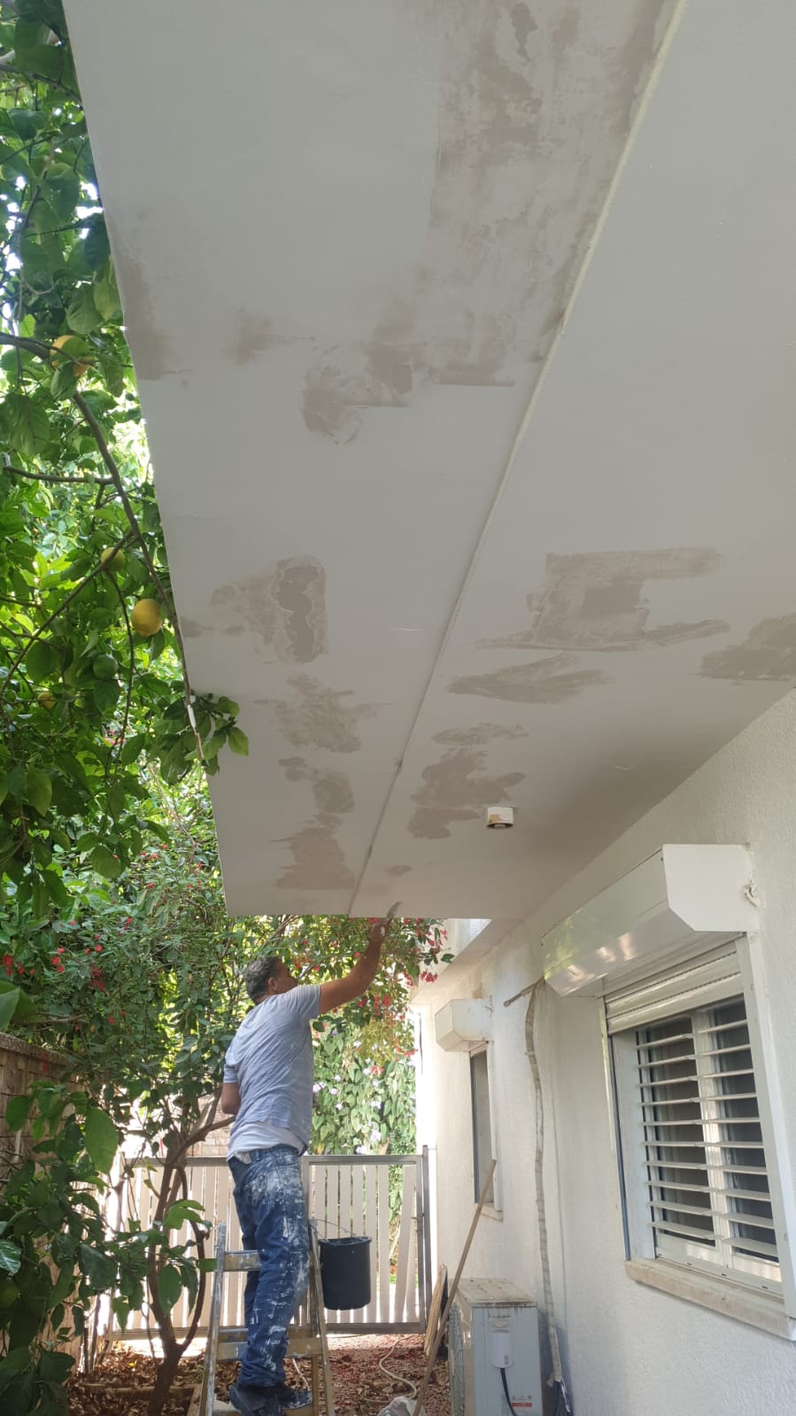 צבע וטייח חיצוני