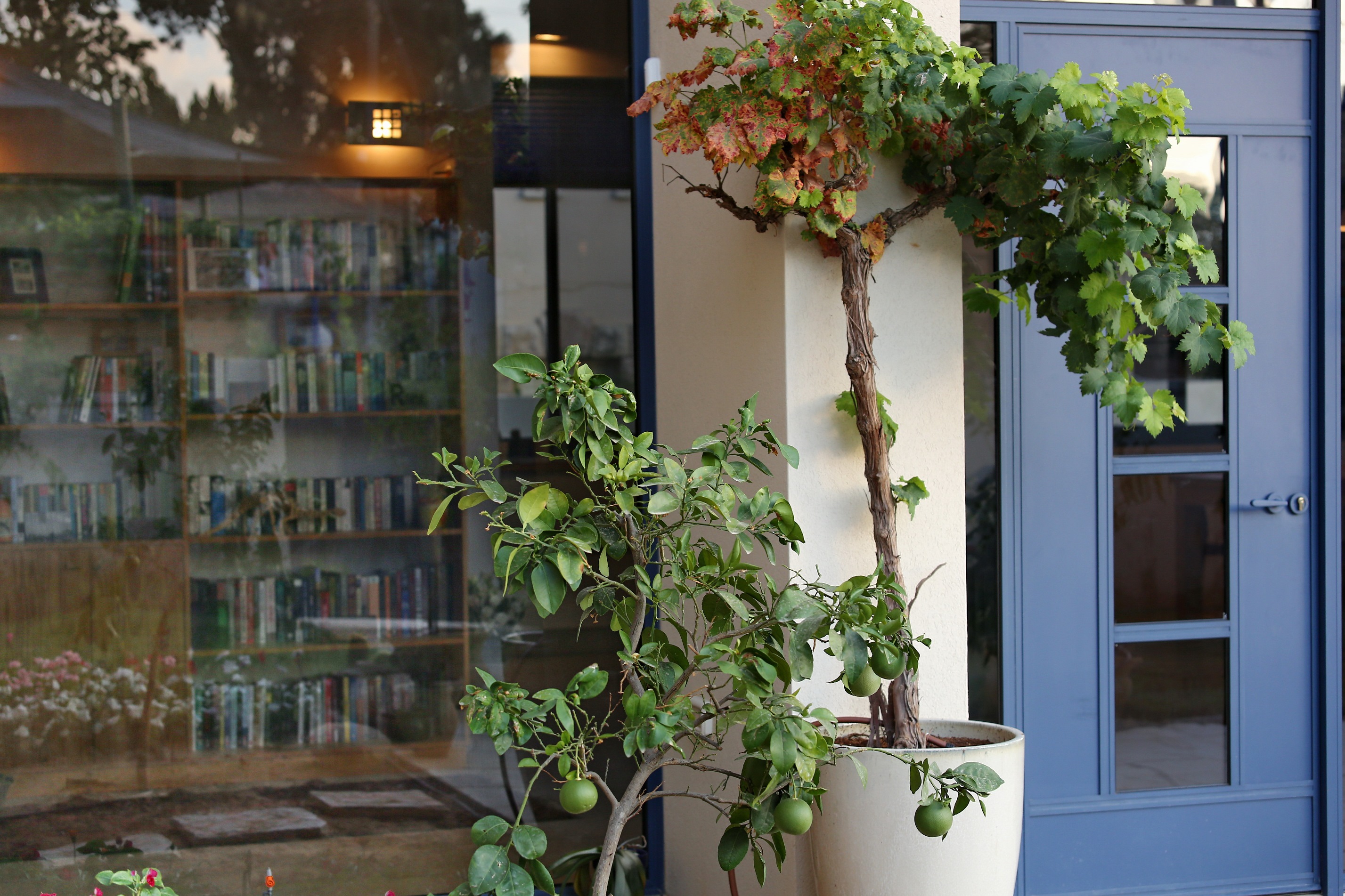 בית בעיצוב ישראלי