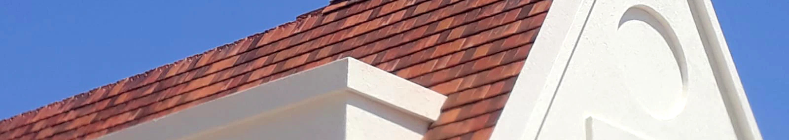 צילום מעבודה של סקר ותד