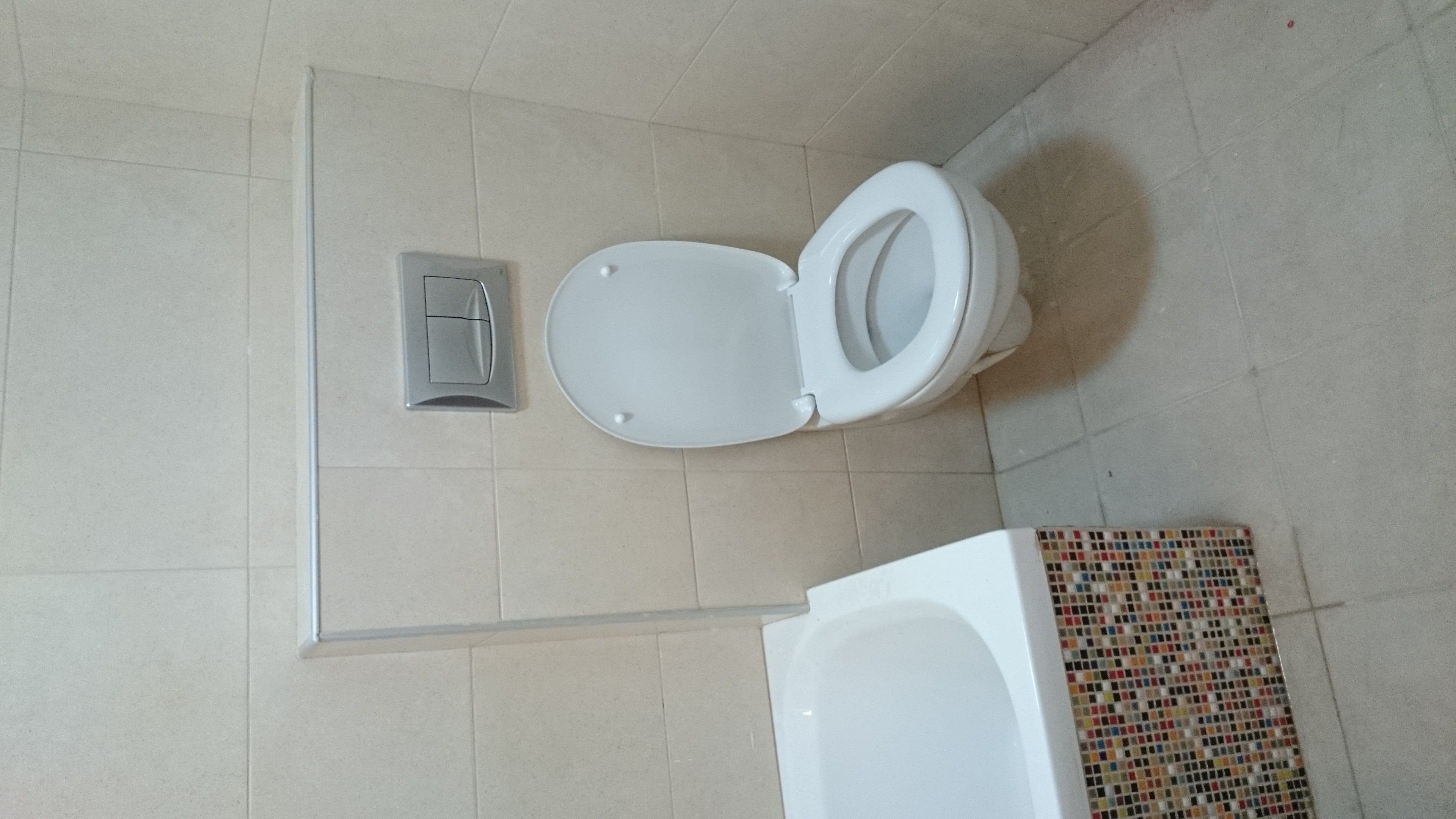 ניאגרות סמויות - אסלות תלויות.