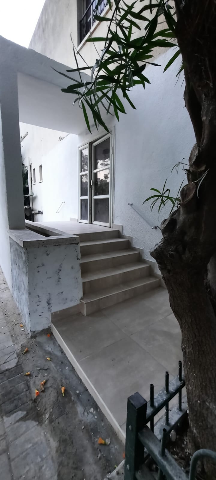 שיפוץ מדרגות בית כנסת בראשון לציון