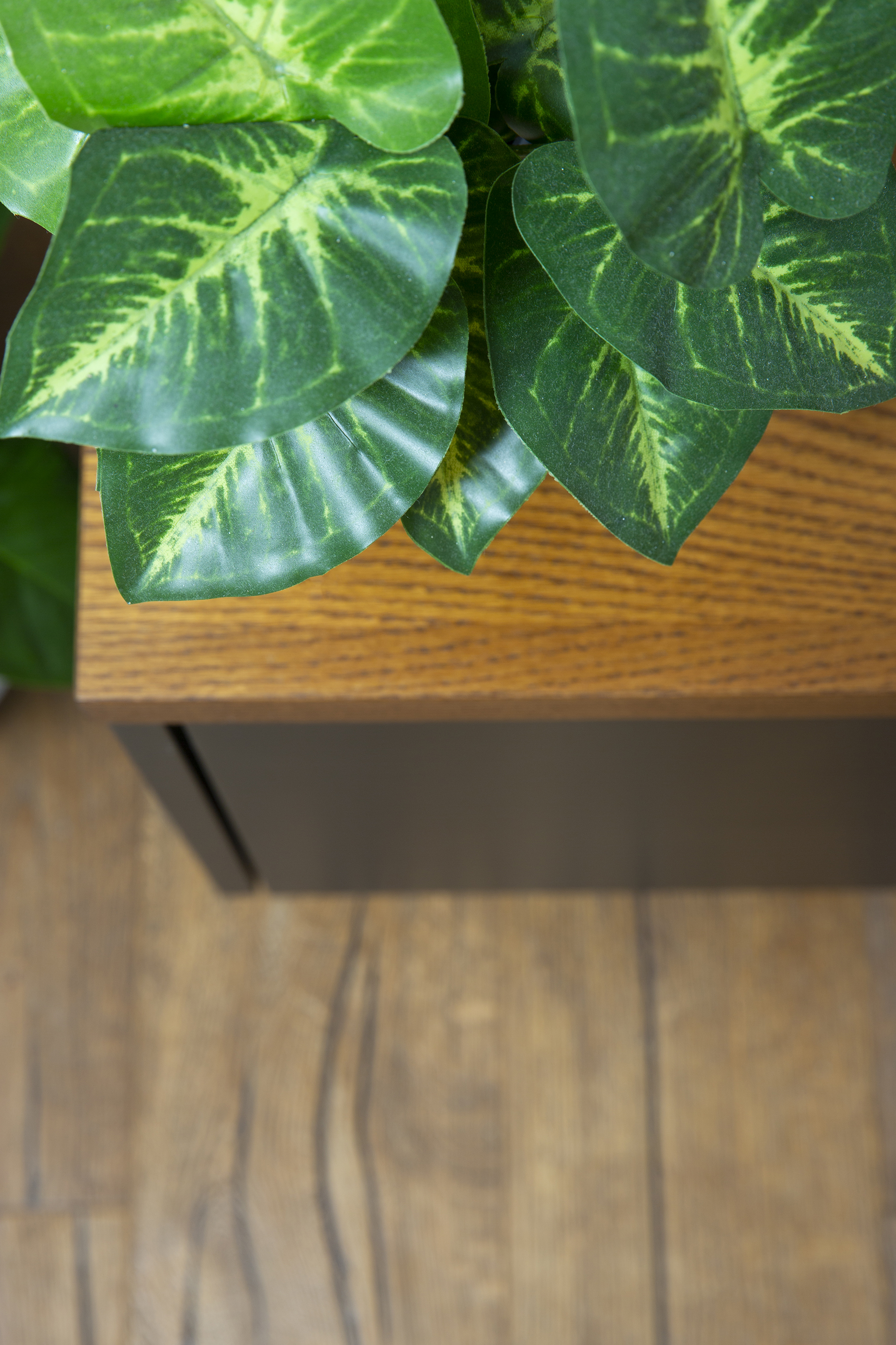 עיצוב פנים פנטהאוז