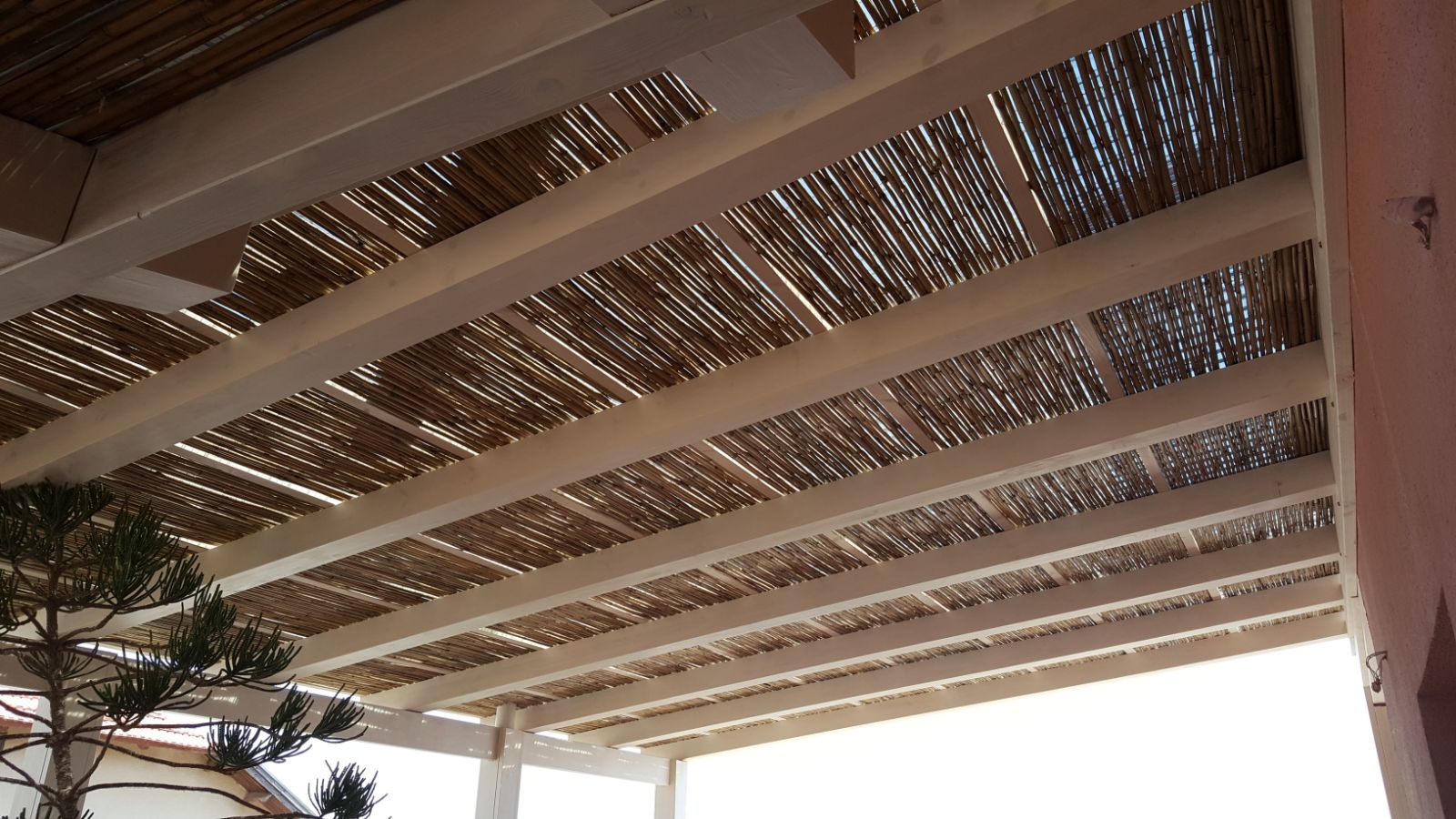 פרגולות מעץ