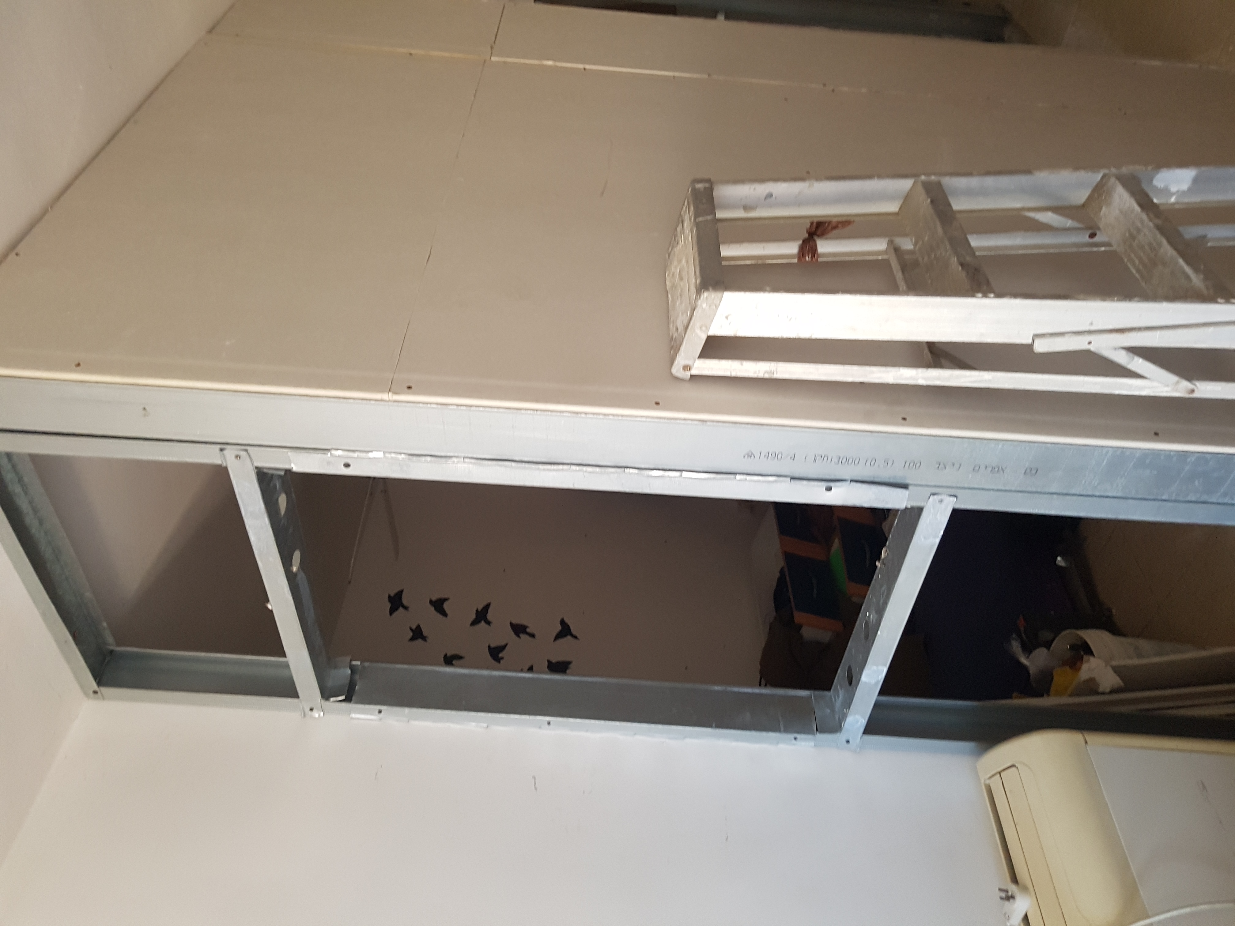 עבודות צבע וגבס