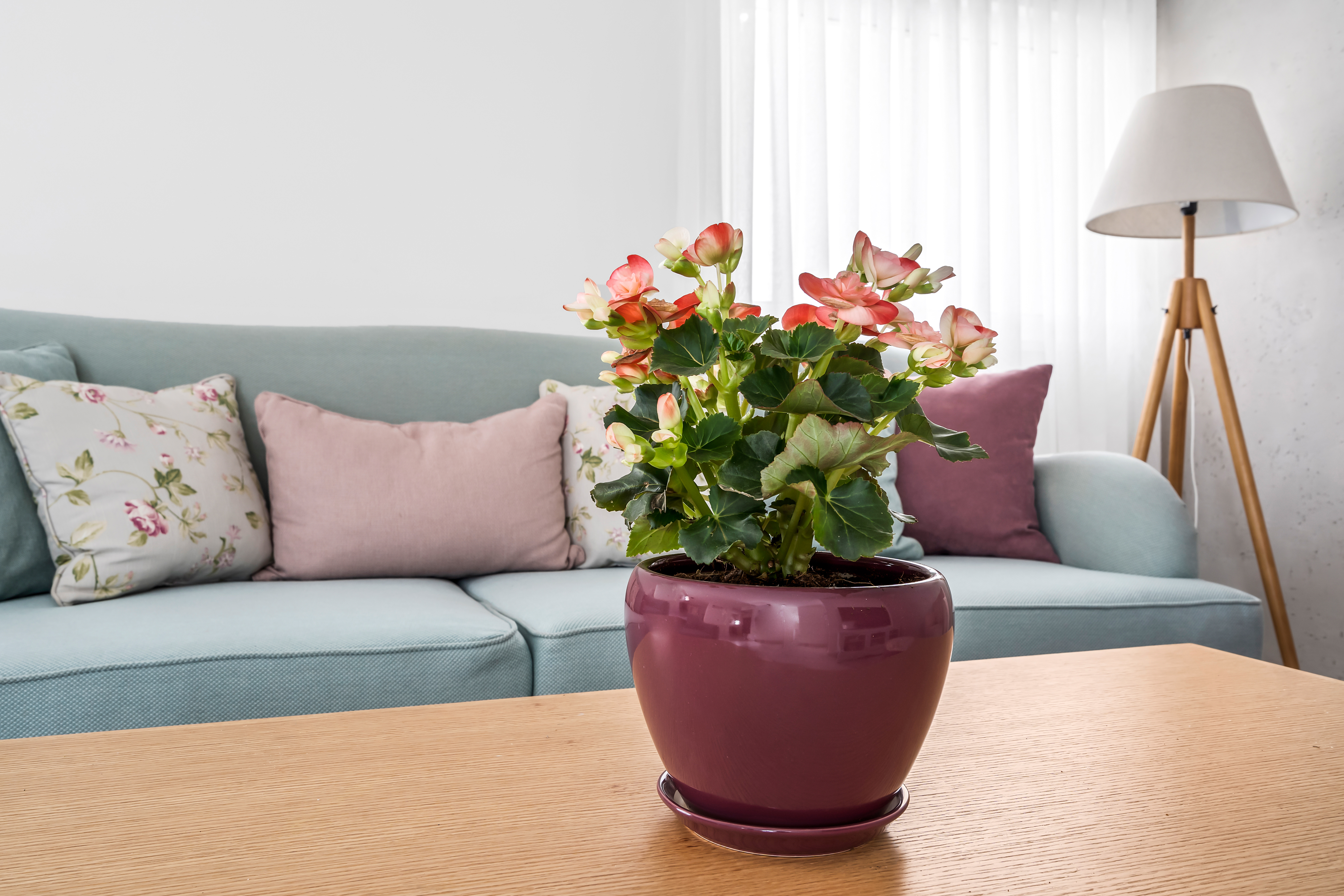 תכנון ועיצוב פנים