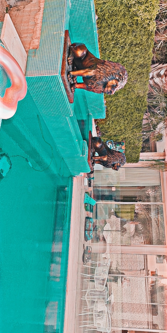 מעקות זכוכית לבריכה