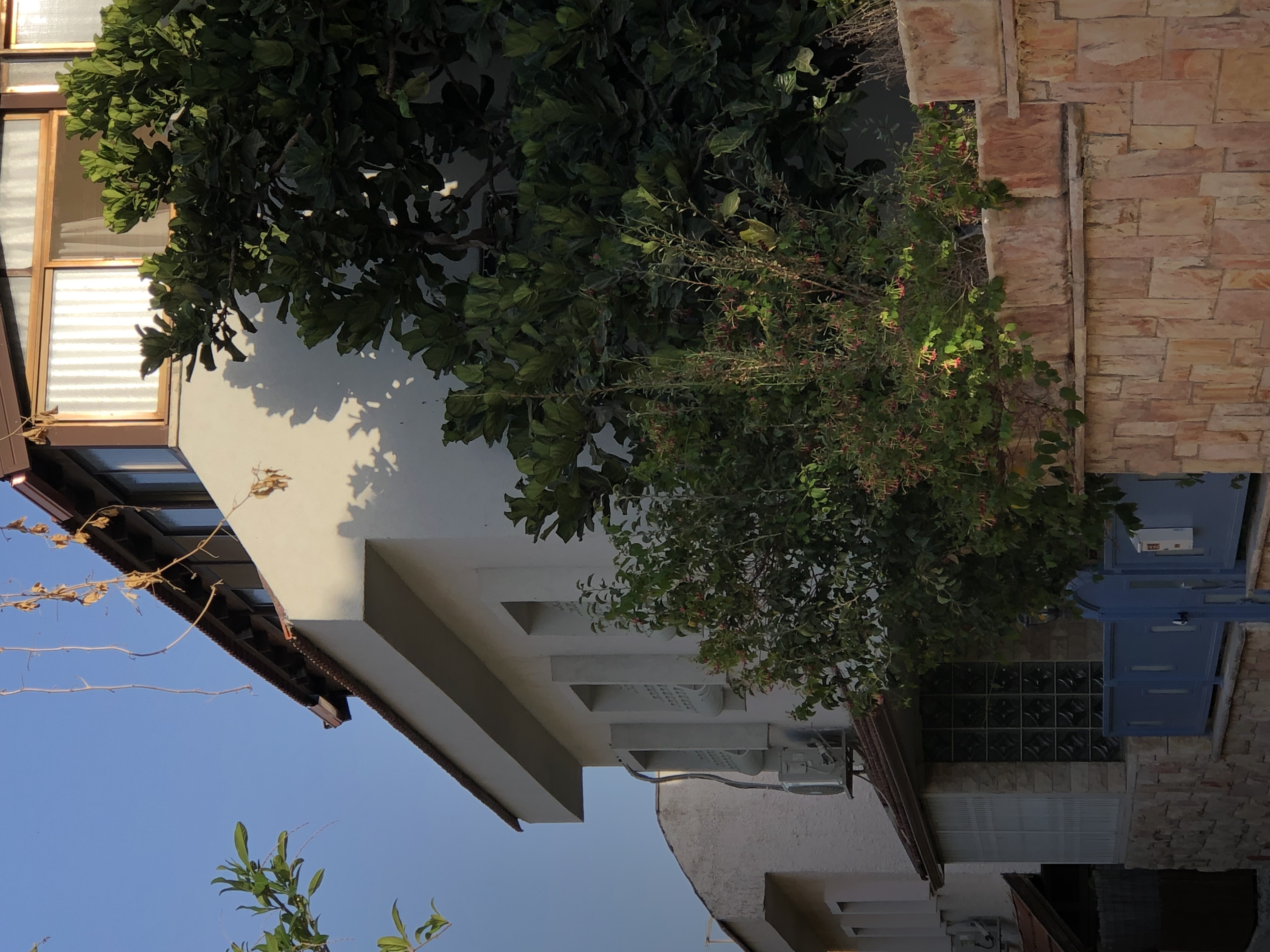 חיזוק חידוש מבנים