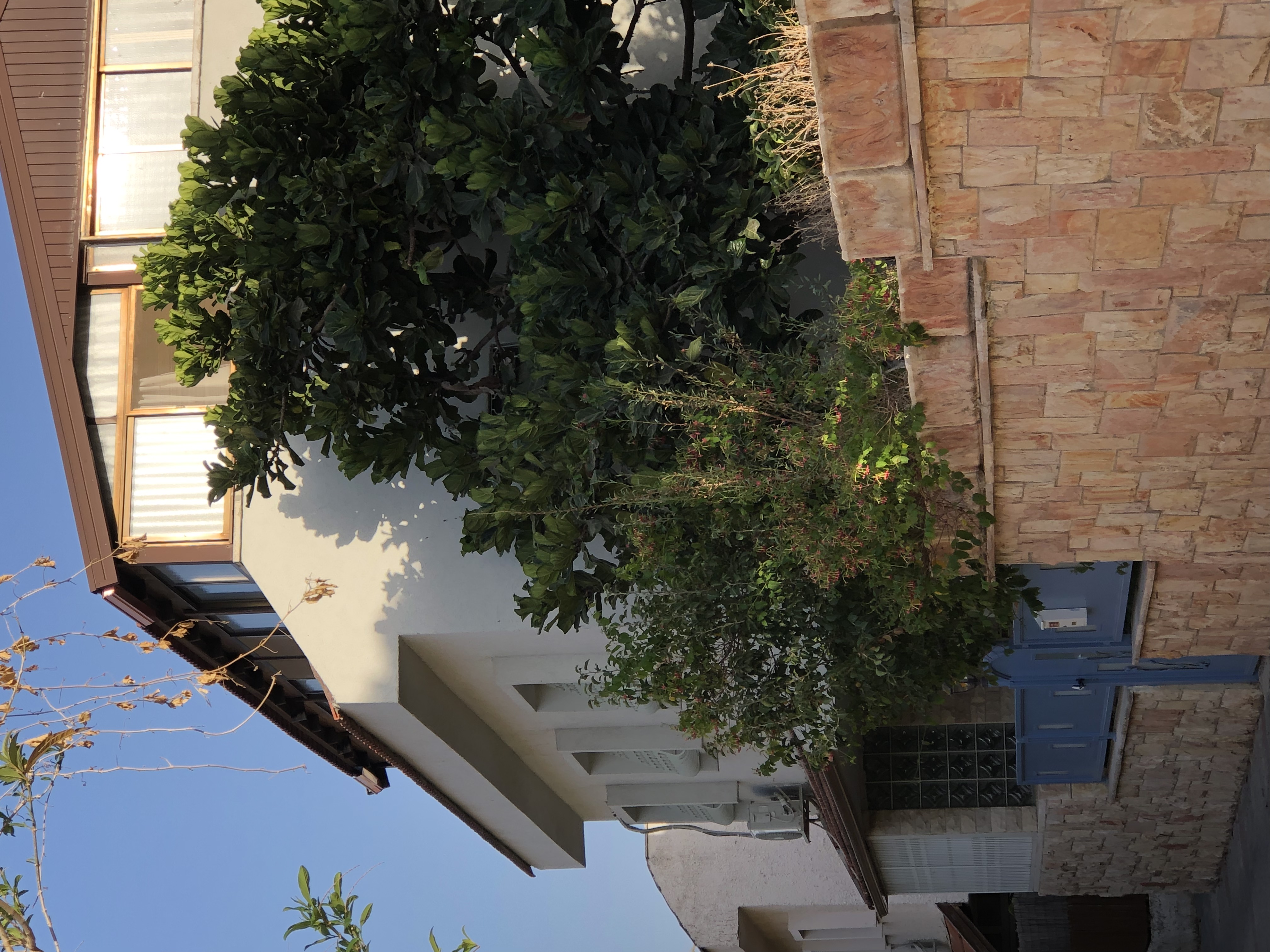 חיזוק חידוש מבנים