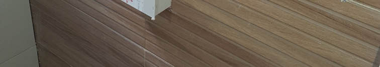 צילום מעבודה של ישראל דזבסרוב