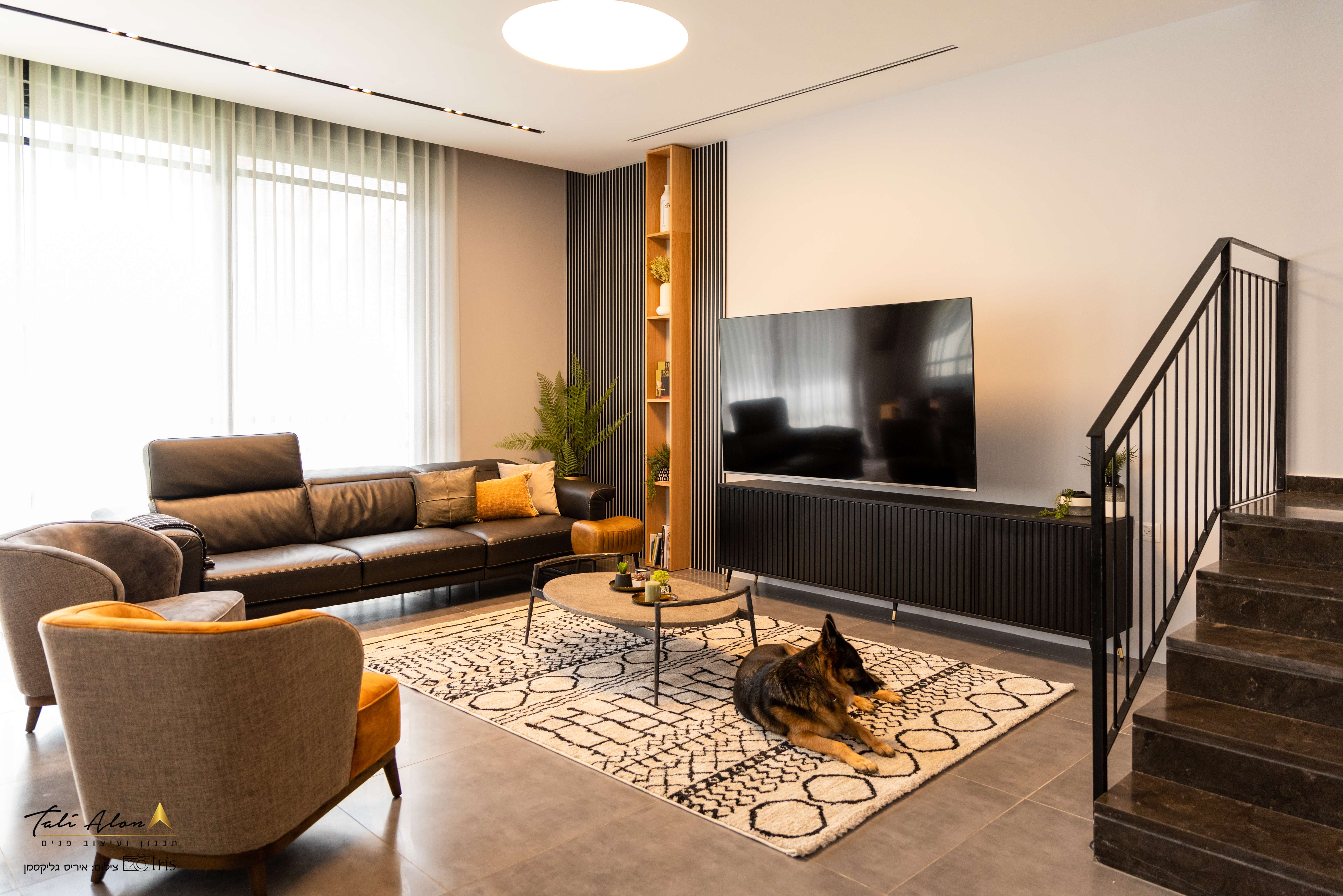 עיצוב דירה כפר יונה