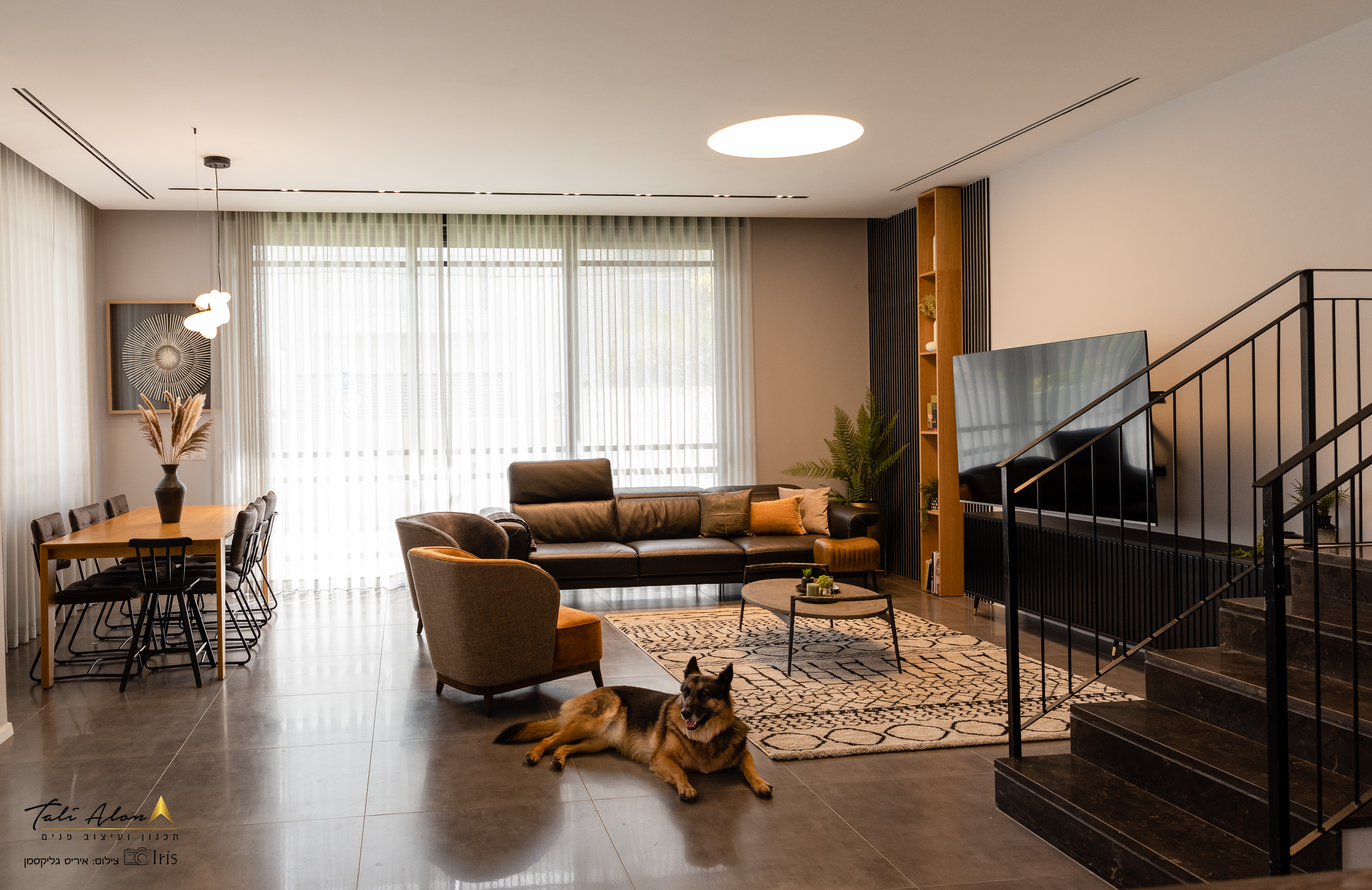 עיצוב דירה כפר יונה