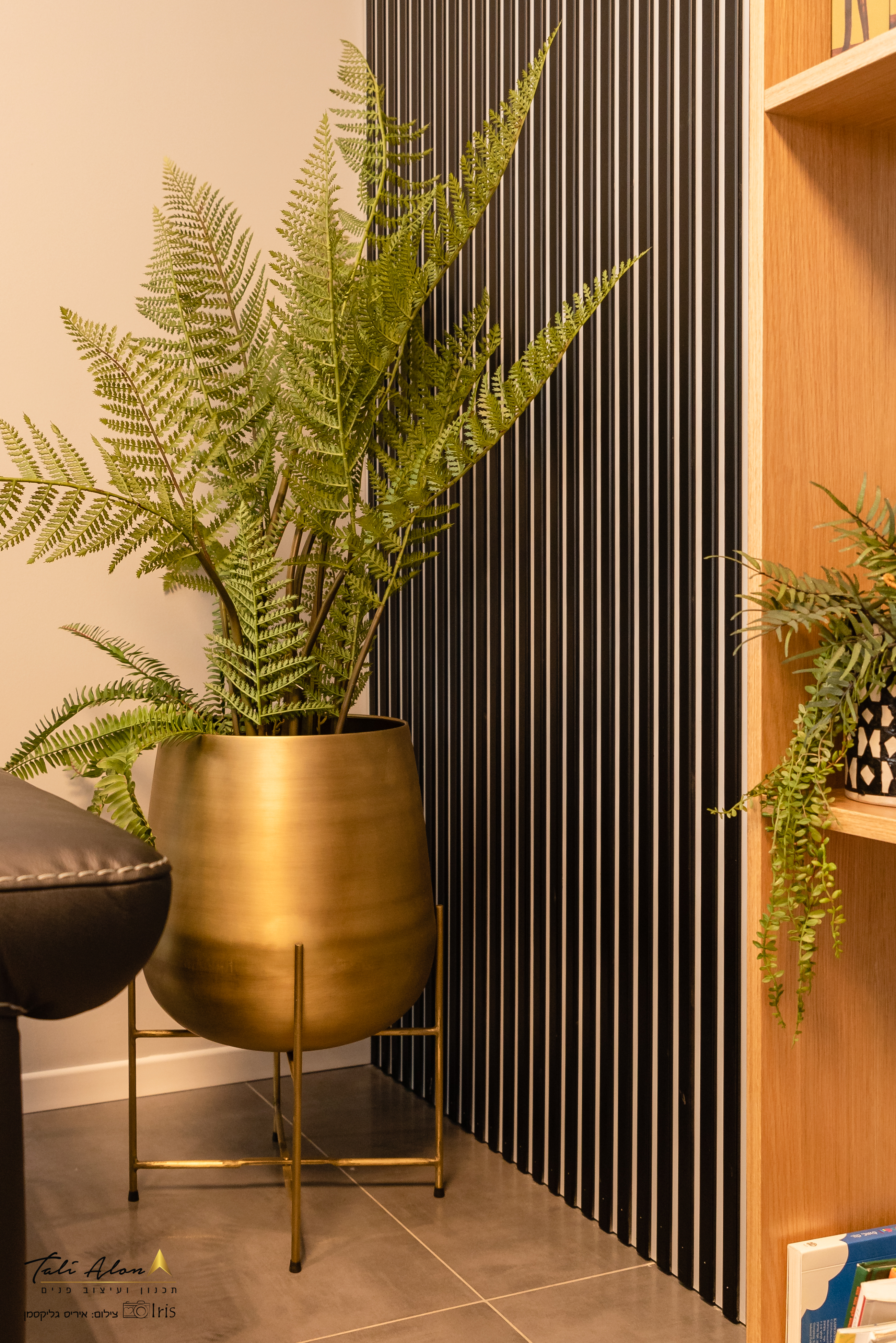 עיצוב דירה כפר יונה