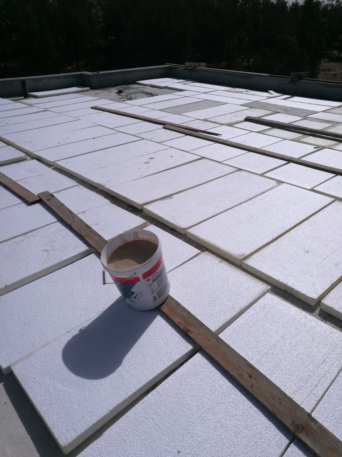 זיפות ויריעות