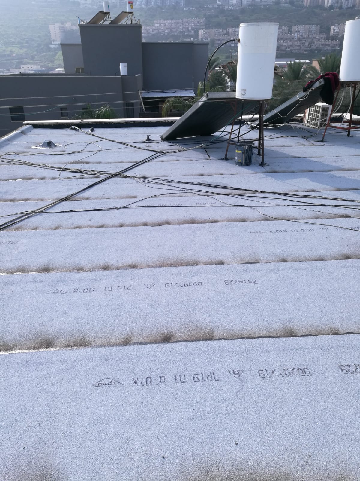 זיפות ויריעות