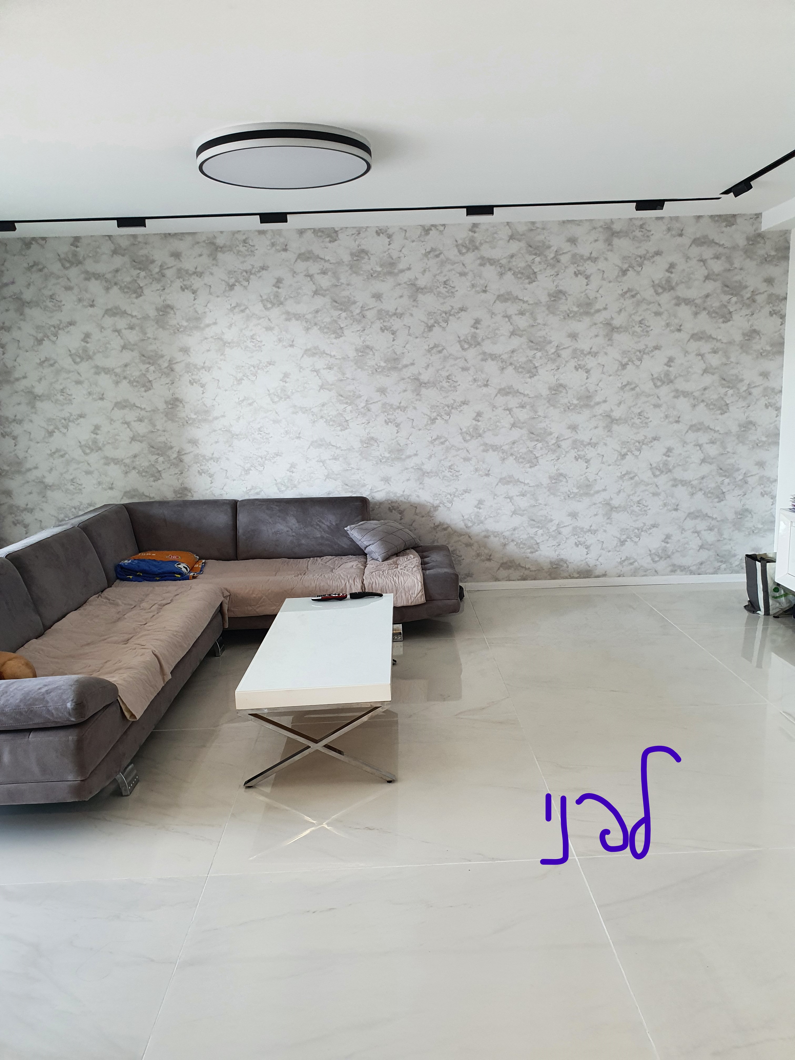 חלל ציבורי וקיר טלוויזיה דירה ברמת גן