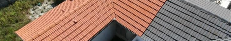 צילום מעבודה של בן אפללו