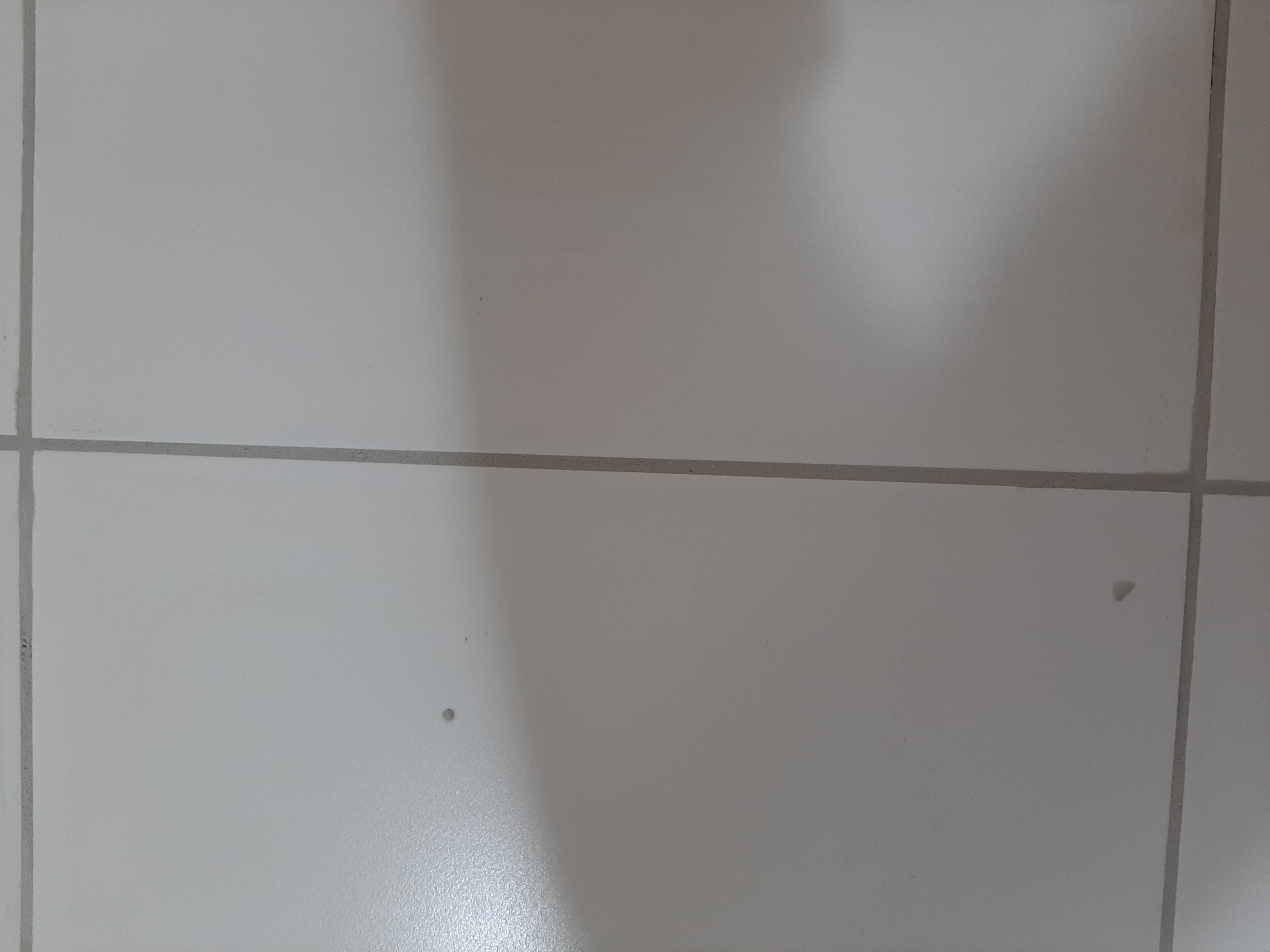 עבודות ריצוף +רובה +פולש