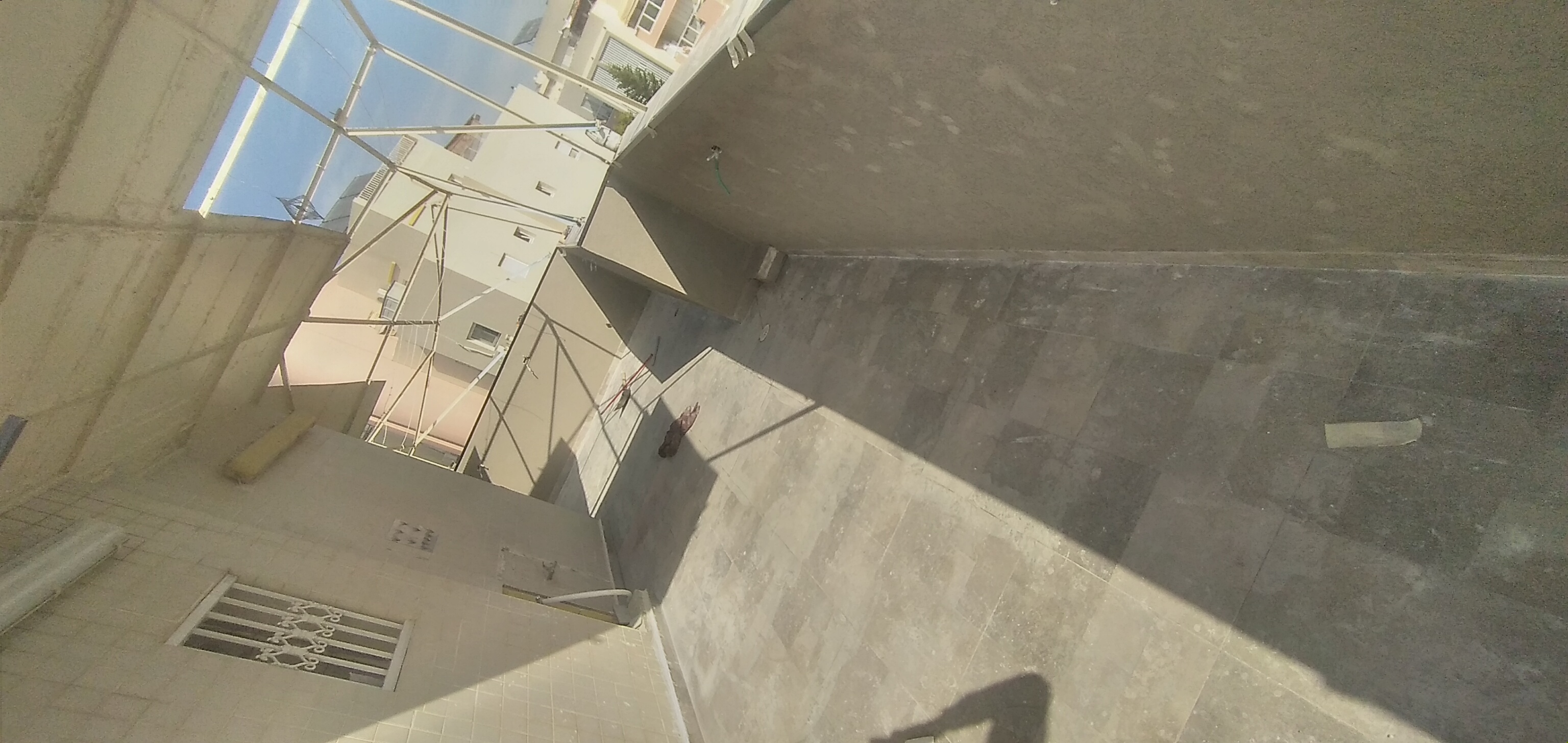 טייח ושליכט צבעוני