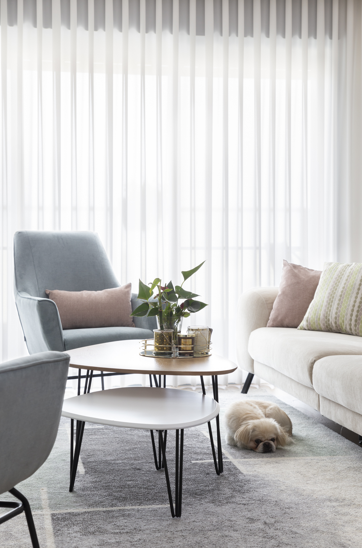 עיצוב דירת קבלן במודיעין