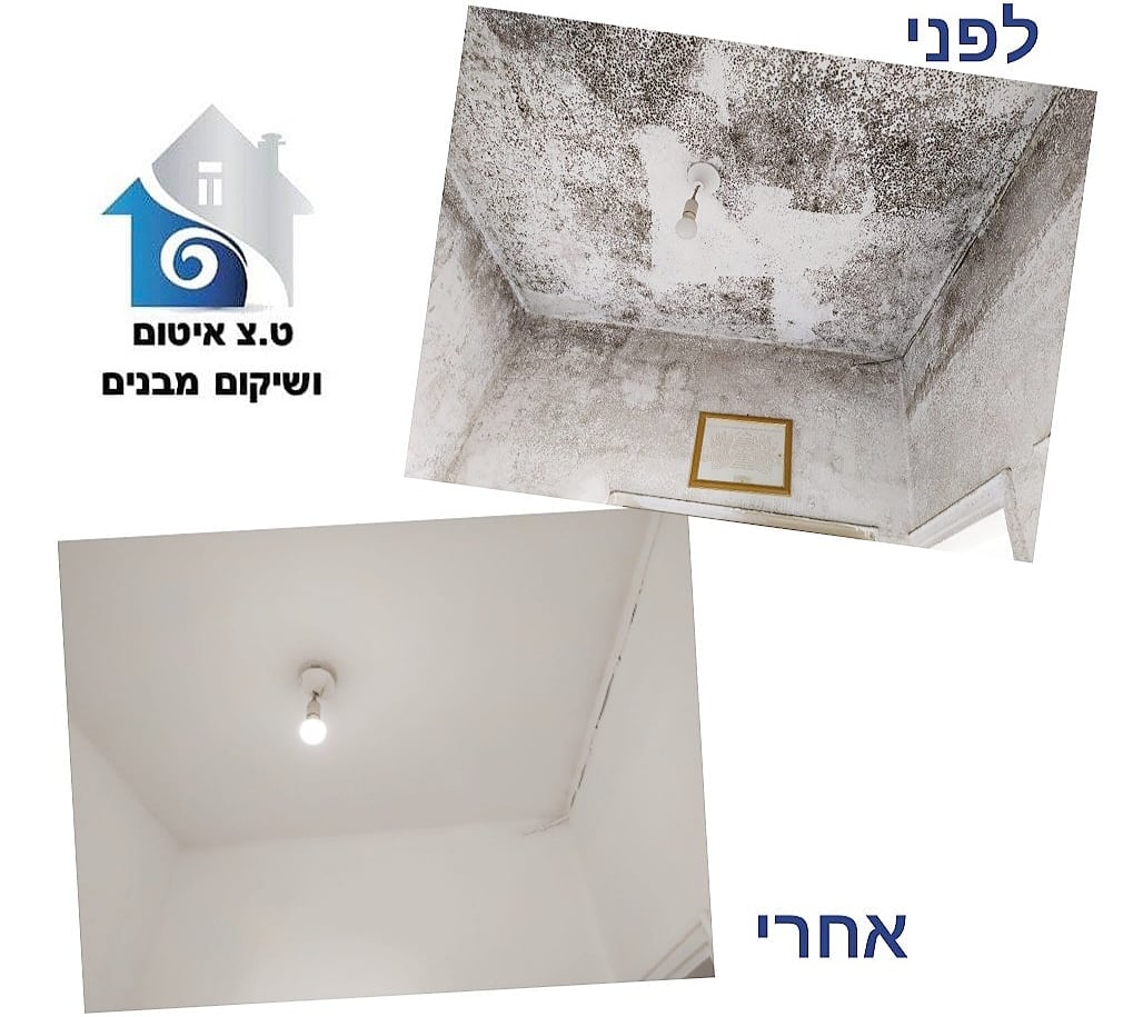 שיקום נזקי מים + טיפול בעובש