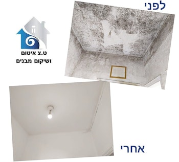 שיקום נזקי מים + טיפול בעובש