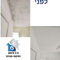 שיקום נזקי מים + טיפול בעובש