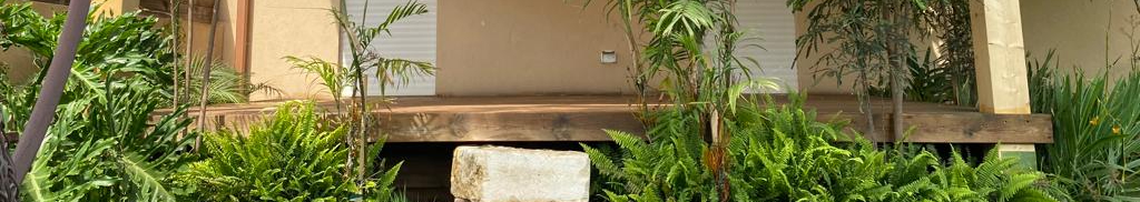 צילום מעבודה של מוסטפא אבו בכר