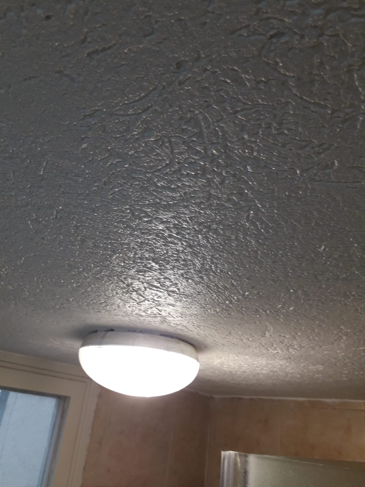 תיקון רטיבות