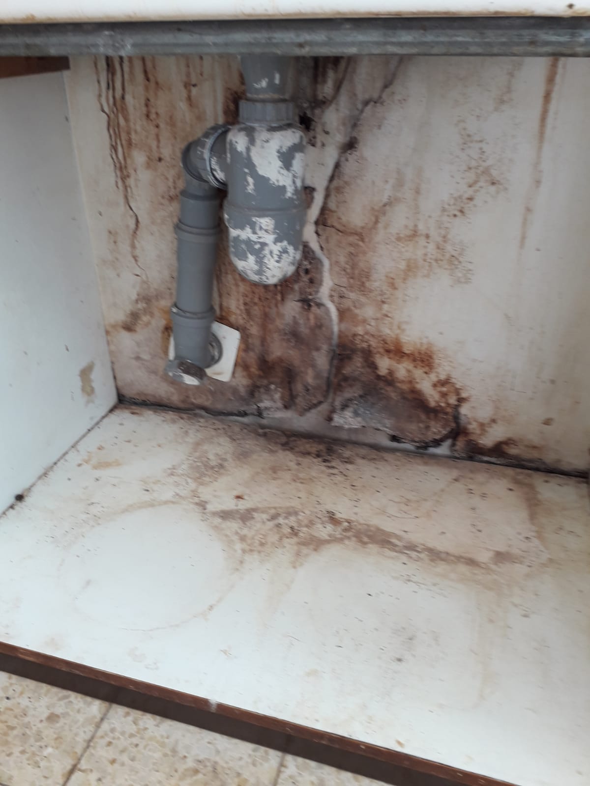 תיקון רטיבות