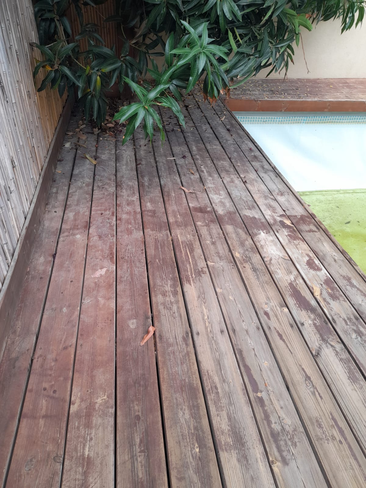 פרגולות ודקים