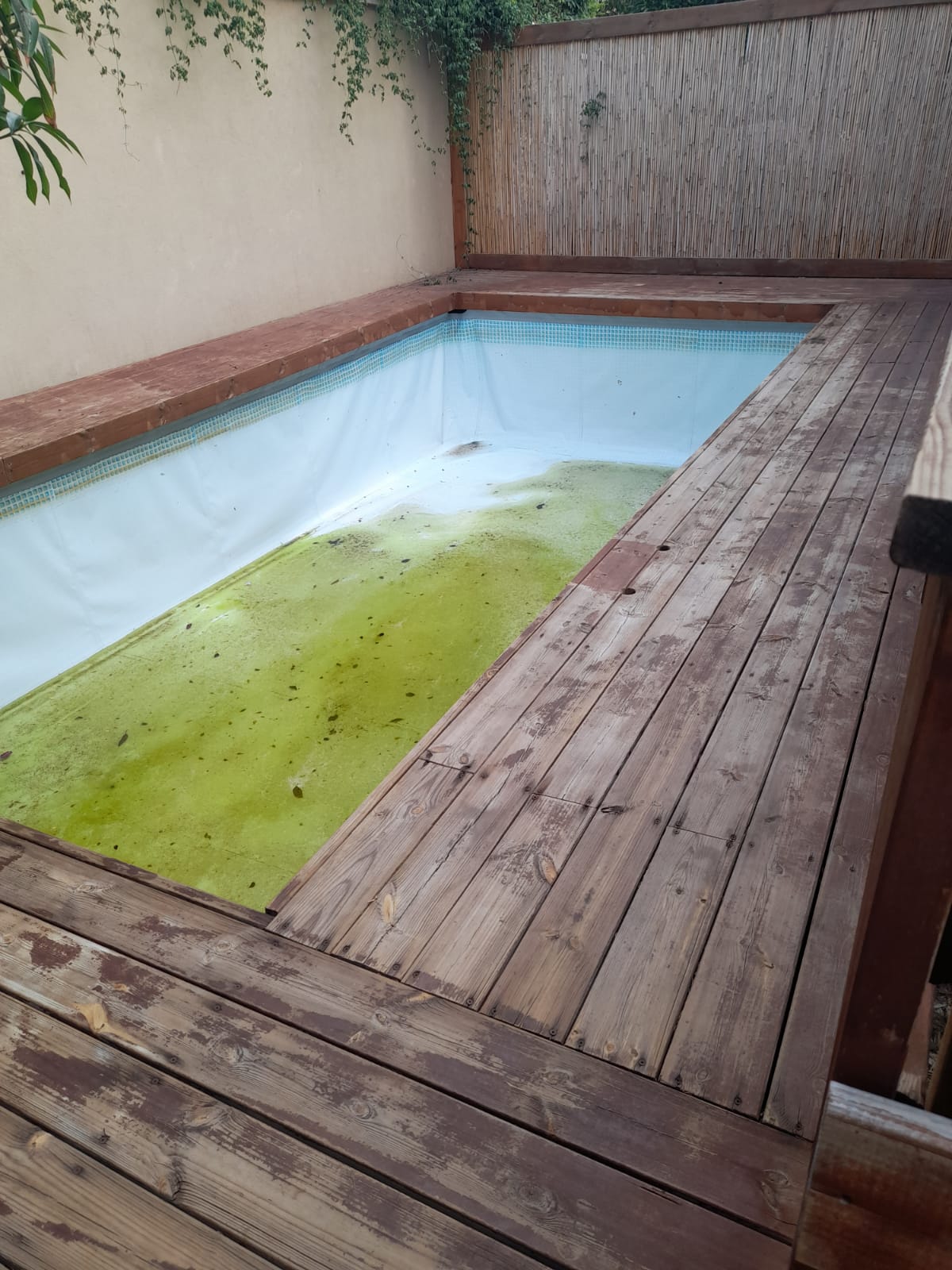 פרגולות ודקים