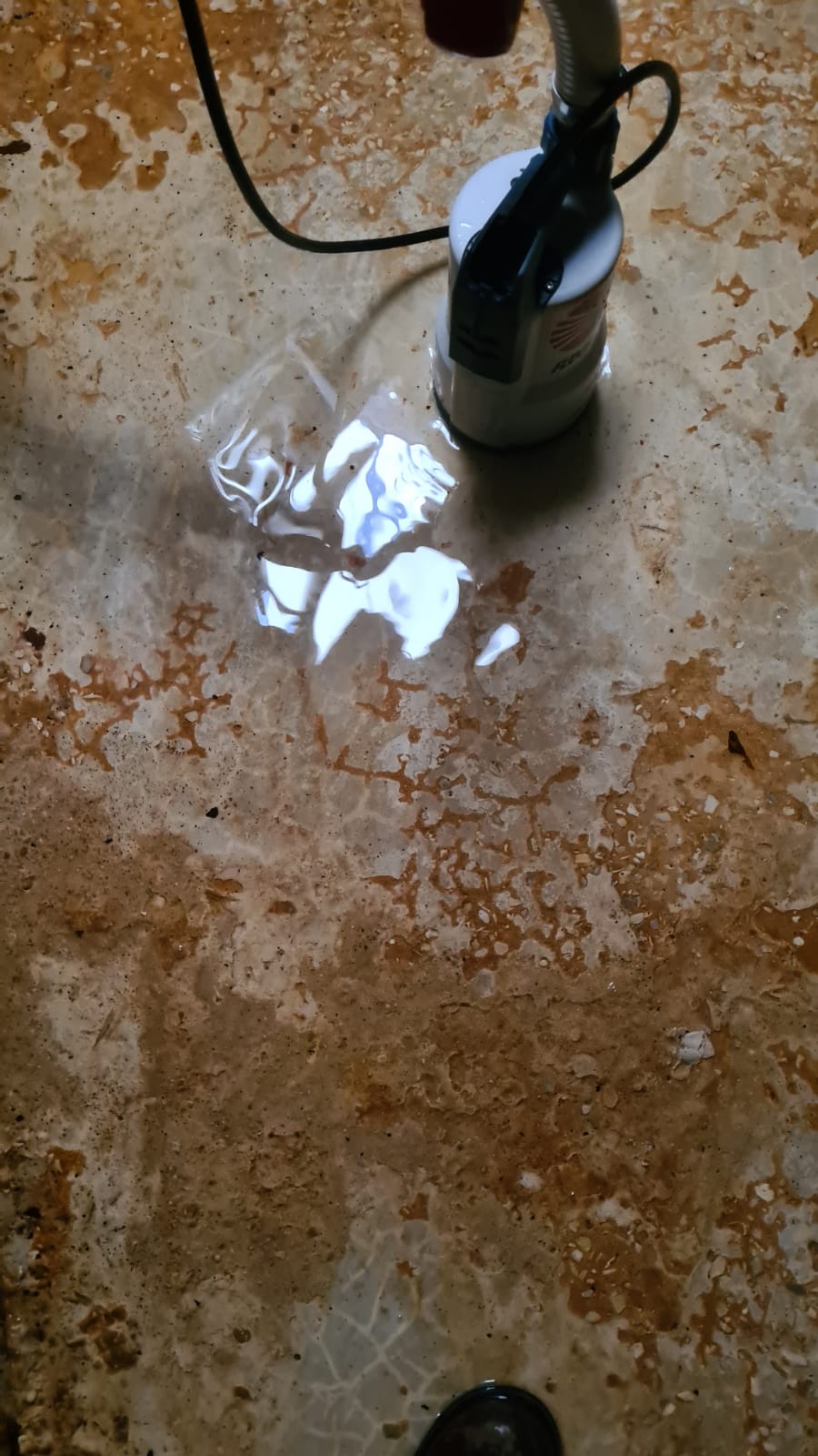 ניקוי וחיטוי מאגרי מים