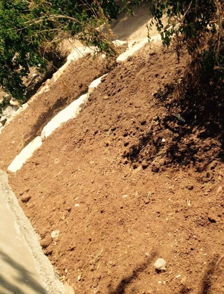 עבודות פיתוח ואבנים משתלבות